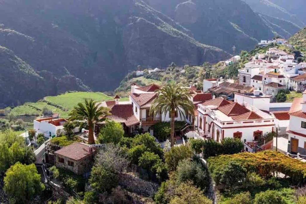 Luminoso Y Acogedor Leilighet Las Palmas de Gran Canaria Eksteriør bilde