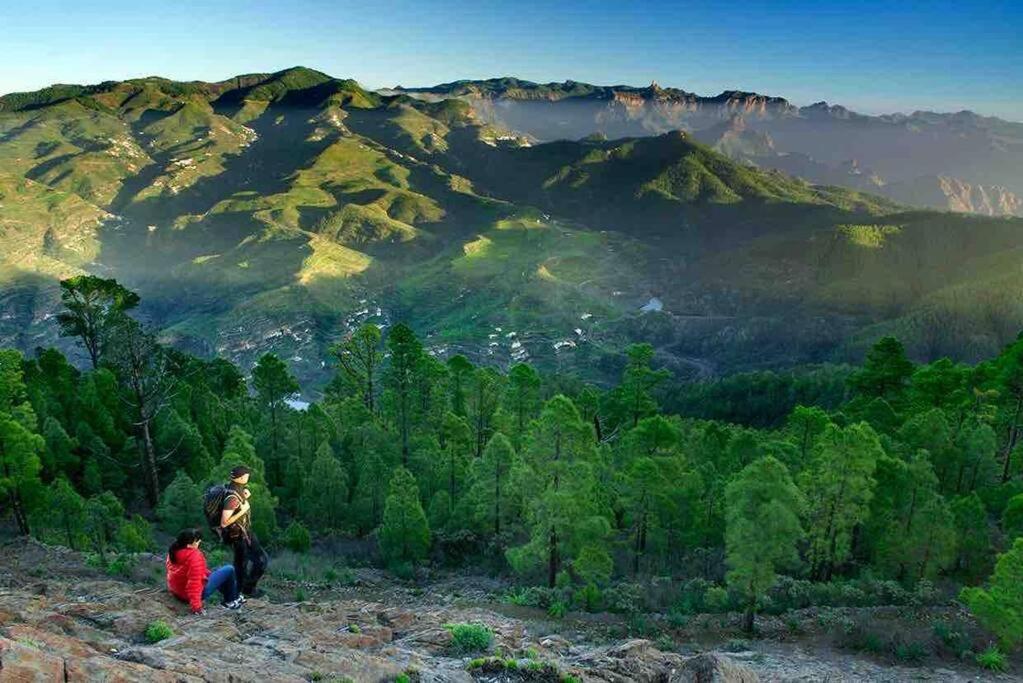 Luminoso Y Acogedor Leilighet Las Palmas de Gran Canaria Eksteriør bilde